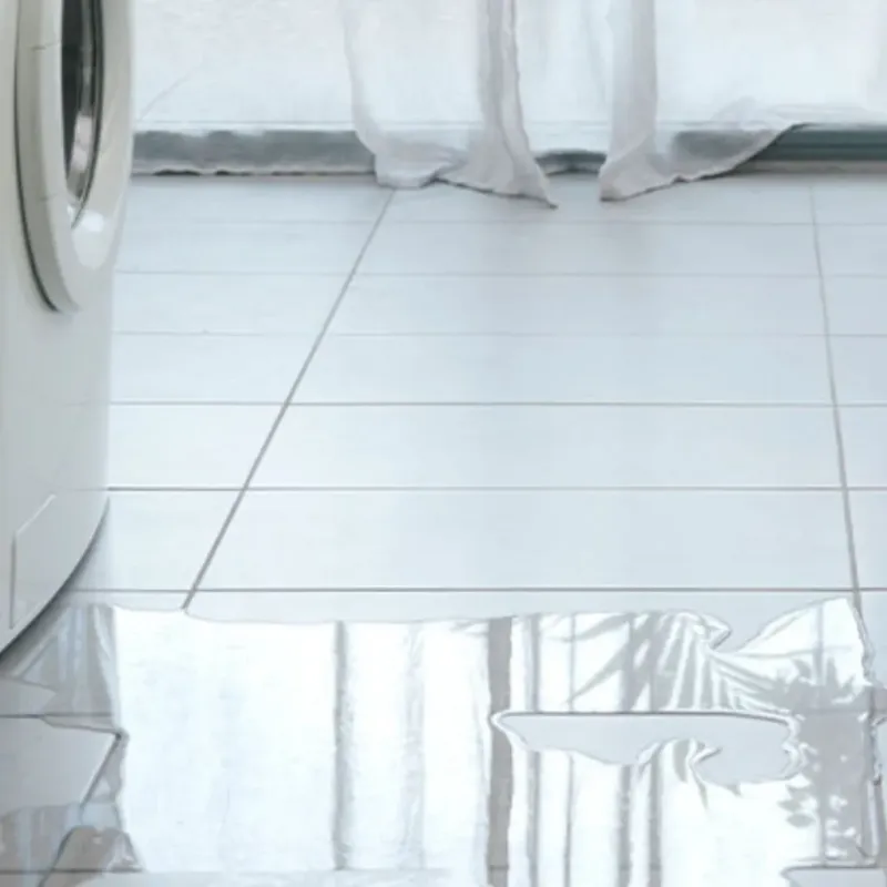 Appliance Leak Cleanup in Redland, TX